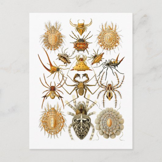 Spiers Briefkaart (Voorkant)