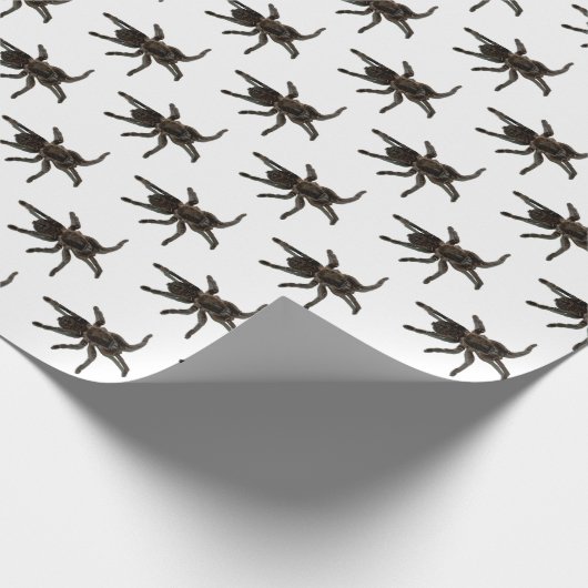 Spiers Cadeaupapier (Hoek)