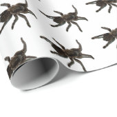 Spiers Cadeaupapier (Rol Hoek)