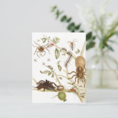 Spiers, mieren en kolibrie op een tak van ... briefkaart (Staand voorkant)
