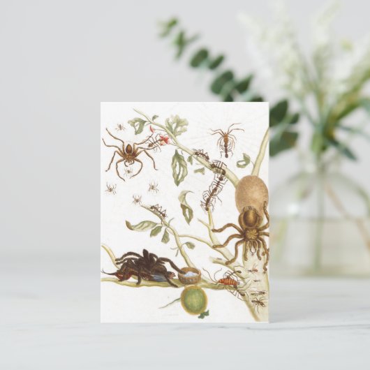 Spiers, mieren en kolibrie op een tak van ... briefkaart (Staand voorkant)