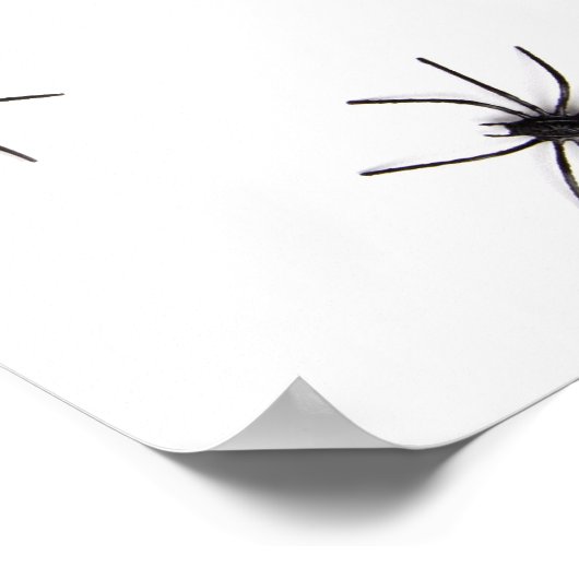 Spiers Poster (Hoek)