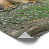 Spierspuiten Poster (Hoek)