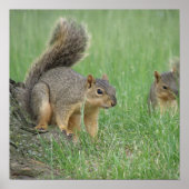 Spierspuiten Poster (Voorkant)