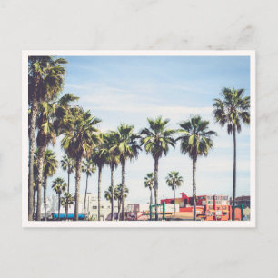 Spierstrand Venice Beach Californië Palmboom Briefkaart