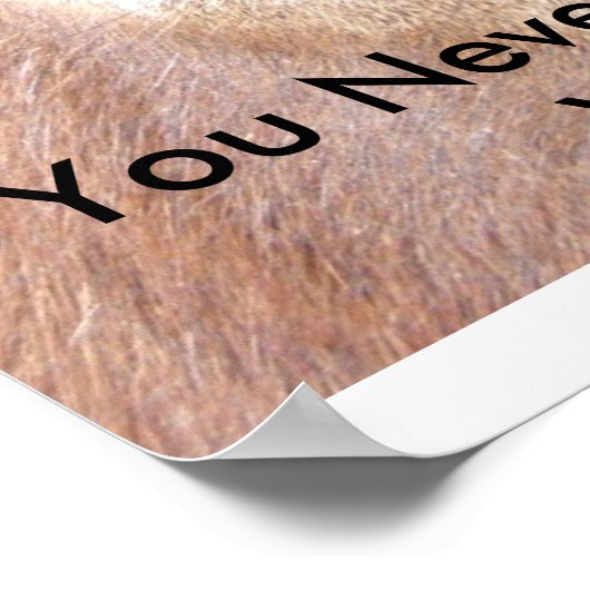 Spies Eyes Poster (Hoek)