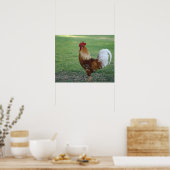 "Spiffy", Rooster Poster (Keuken)
