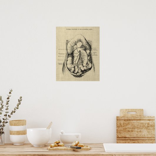 Spijsverteringsstelsel Anatomie print 2 Gastro-ent (Keuken)