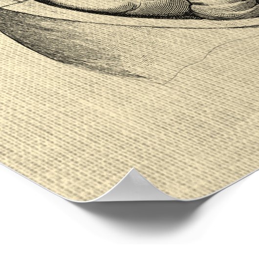 Spijsverteringsstelsel Anatomie print 2 Gastro-ent (Hoek)