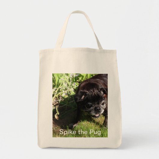 Spike Bag Tote Bag (Voorkant)