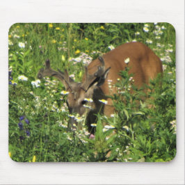 Spike Buck Doorbladeren de Lentetuinen Muismat