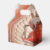 Spike, de zwaarste wereld bedankdoosjes (Achterkant)