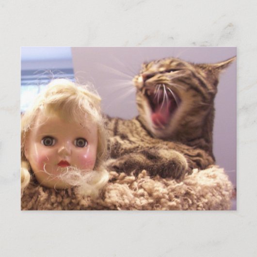 Spike haat poppen briefkaart (Voorkant)