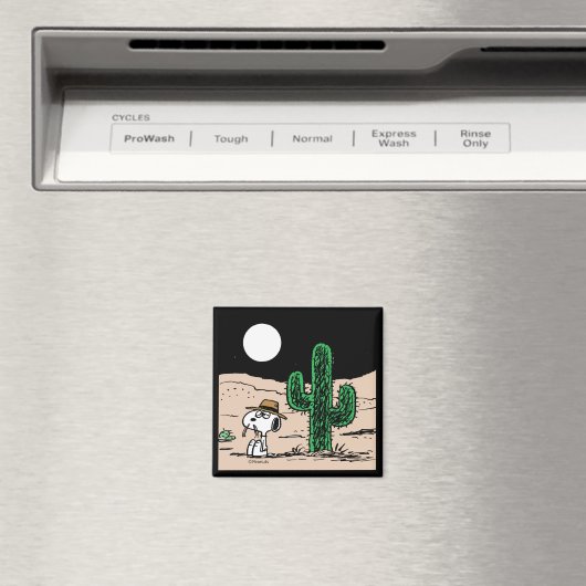 Spike in een Moonlit woestijn Magneet (Insitu (Vaatwasser))