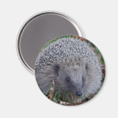 Spike Magnet (Voorkant / Achterkant)