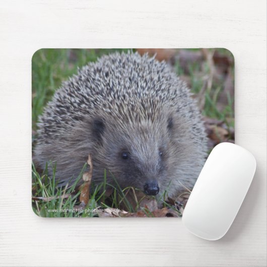 Spike Mousemat Muismat (Met muis)