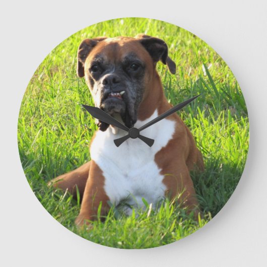 Spike the Boxer - Dog - Wall Clock Grote Klok (Voorkant)