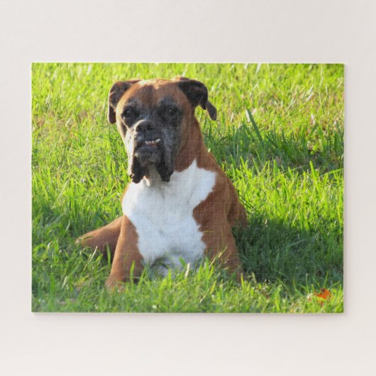 Spike the Boxer - Puzzle Legpuzzel (Horizontaal)