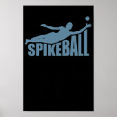 Spikeball Ballsport Freizeit Roundball Poster (Voorkant)
