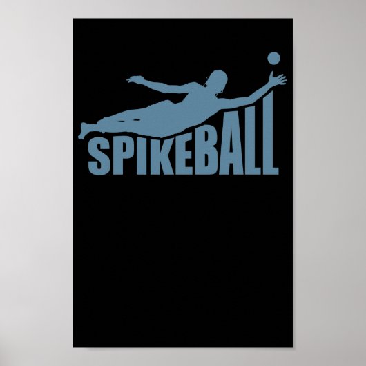 Spikeball Ballsport Freizeit Roundball Poster (Voorkant)
