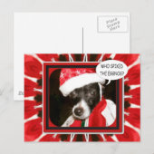 Spiked Eggnog Dog Briefkaart (Voorkant / Achterkant)