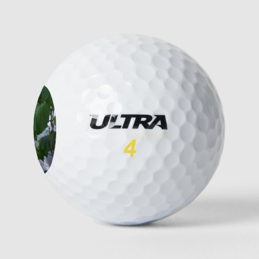 Spiketail dragonfly golfballen (Logo)