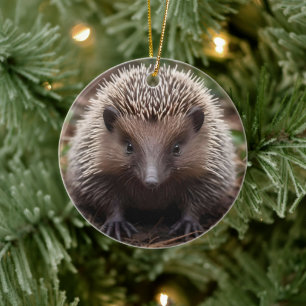 **"Spiky Beginnings: De Schattige Baby Echidna"** Keramisch Ornament