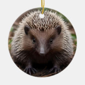 **"Spiky Beginnings: De Schattige Baby Echidna"** Keramisch Ornament (Voorkant)