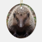 **"Spiky Beginnings: De Schattige Baby Echidna"** Keramisch Ornament (Links)