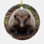 **"Spiky Beginnings: De Schattige Baby Echidna"** Keramisch Ornament (Achterkant)