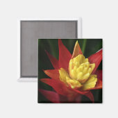 Spiky Flower magneet (Voorkant / Achterkant)