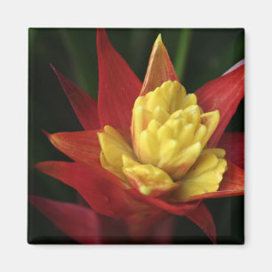 Spiky Flower magnet