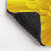 Spiky Yellow Dahlia foto Muismat (Hoek)