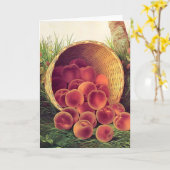 Spilled Peaches Kaart (Gele Bloem)