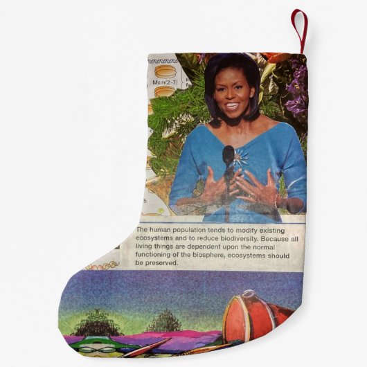 Spilled Truths A Collage of Science Society Hope Kleine Kerstsok (Achterkant)