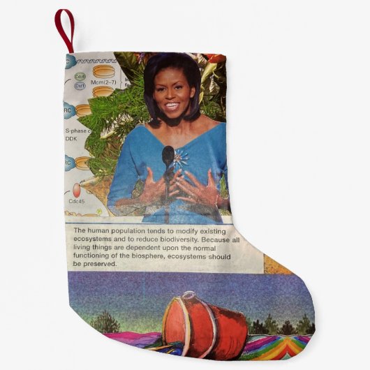 Spilled Truths A Collage of Science Society Hope Kleine Kerstsok (Voorkant)