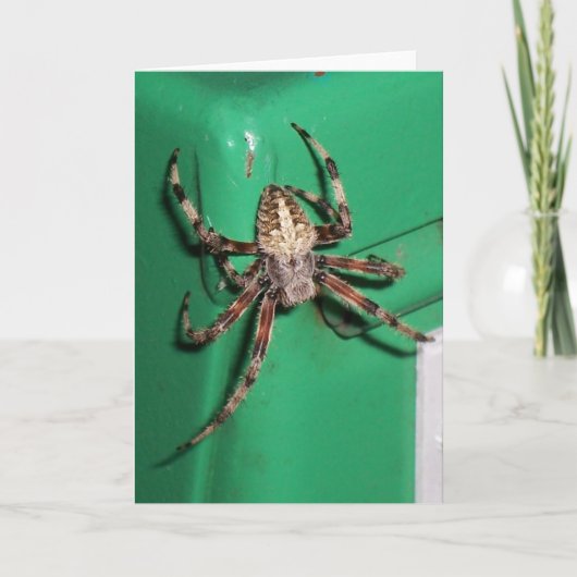 Spin 7704 - Verticaal Kaart (Voorkant)