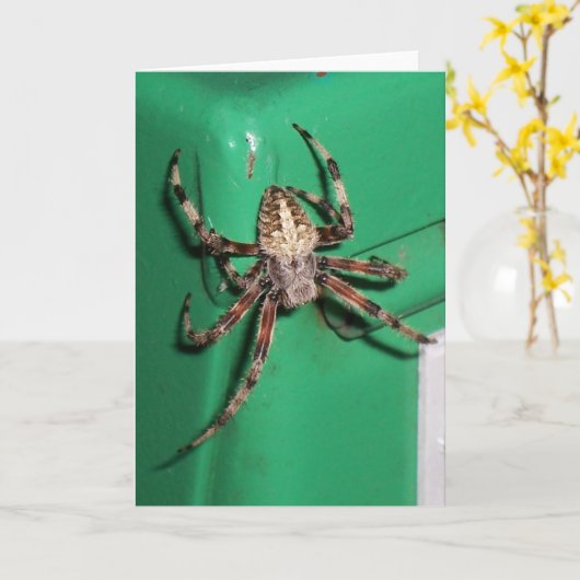 Spin 7704 - Verticaal Kaart (Gele Bloem)