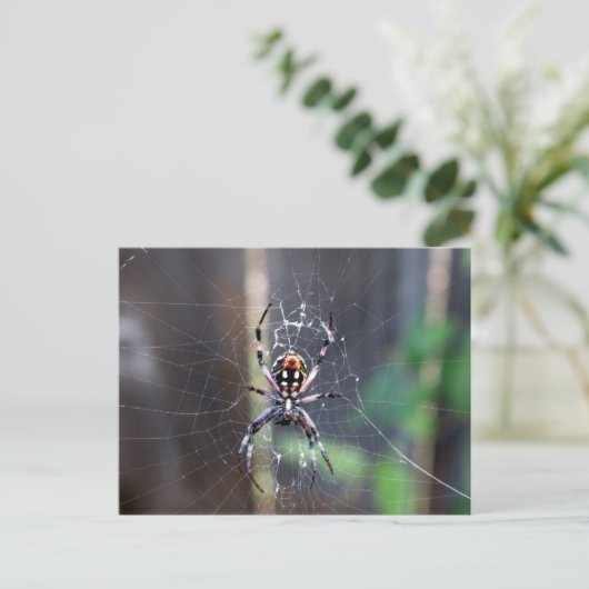 spin briefkaart (Staand voorkant)