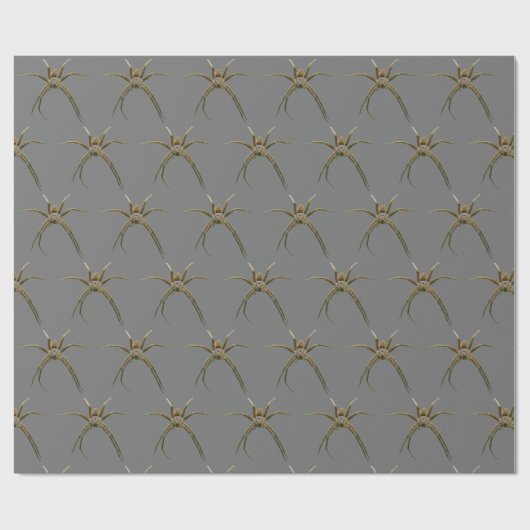 Spin Cadeaupapier (Vlak)