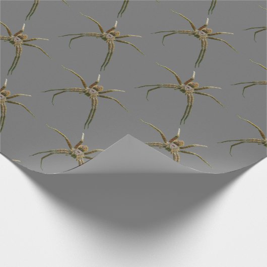 Spin Cadeaupapier (Hoek)