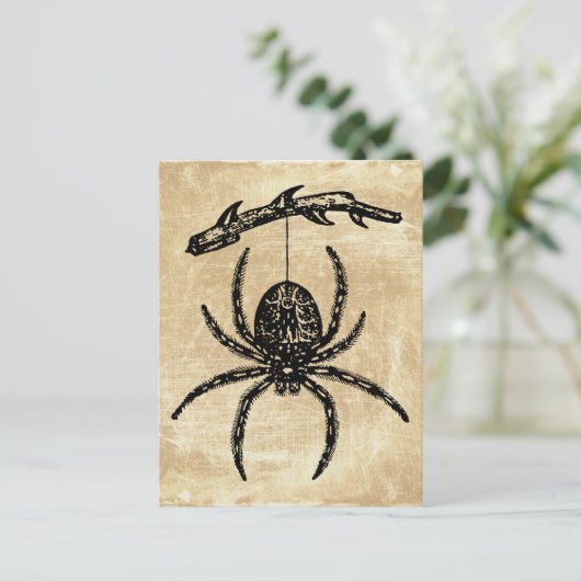 spin die van het Briefkaart van de Tak hangt (Staand voorkant)