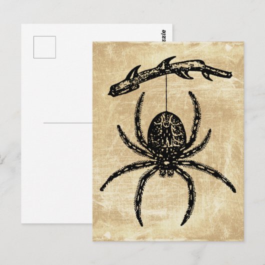  spin die van het Briefkaart van de Tak hangt (Voorkant / Achterkant)