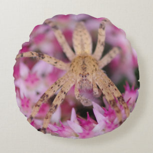Spin en Bloemen Kussen
