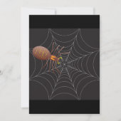Spin en spinnenweb kaart (Voorkant)