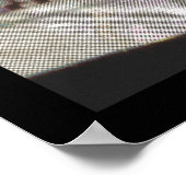  spin g poster (Hoek)