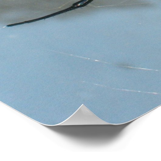 Spin, gemeenschappelijke tuin poster (Hoek)