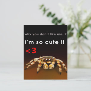 Spin, ik ben zo stom   Spider Lover Gift