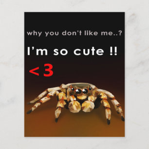 Spin, ik ben zo stom Spider Lover Gift Flyer