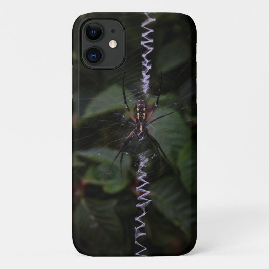 Spin in een zigzagweb Case-Mate iPhone case (Achterkant)